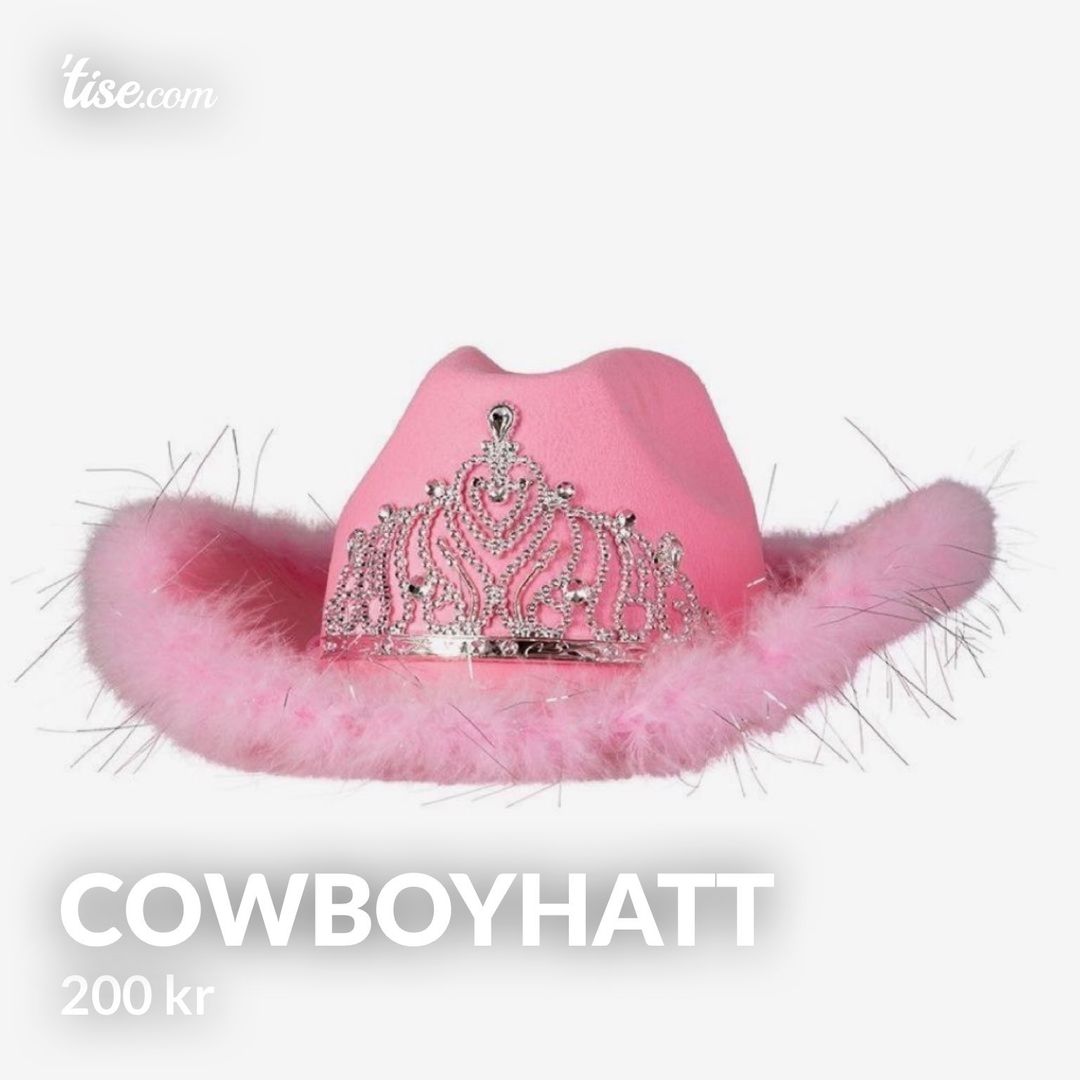 Cowboyhatt