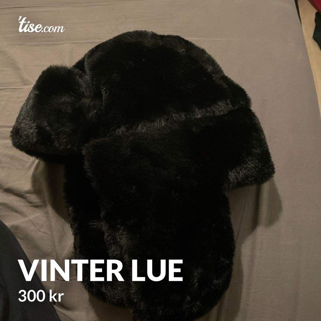 Vinter lue