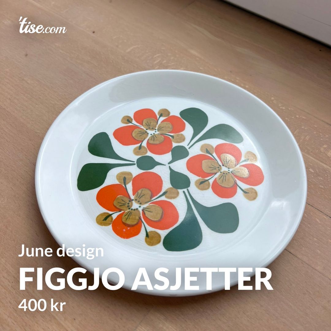 Figgjo asjetter