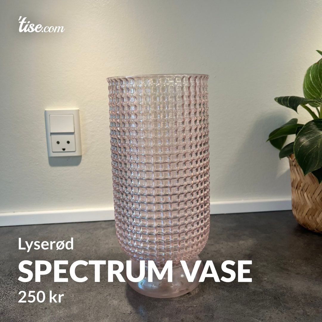 Spectrum vase