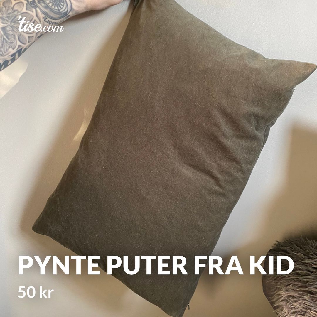 Pynte puter fra Kid