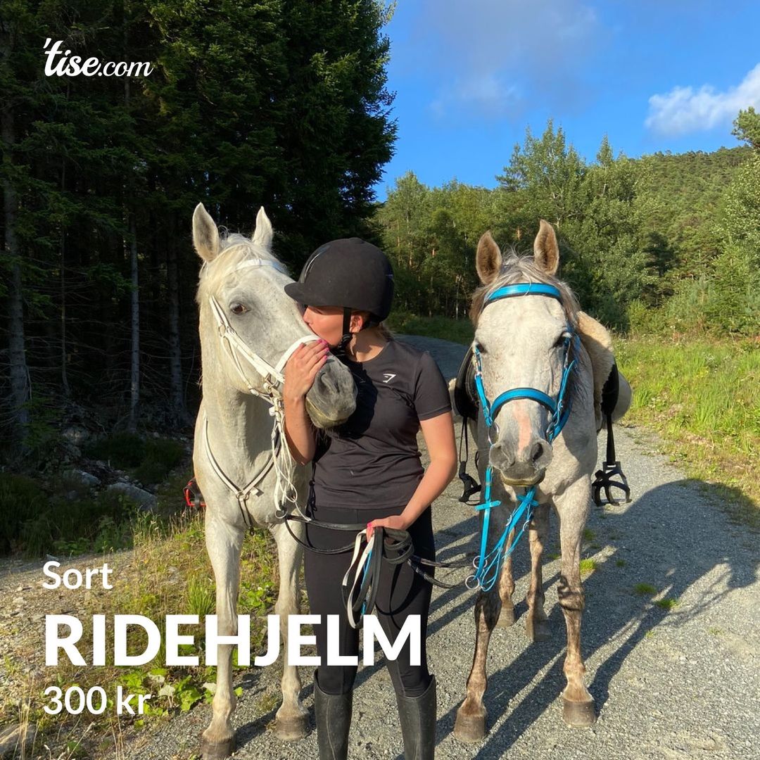 Ridehjelm