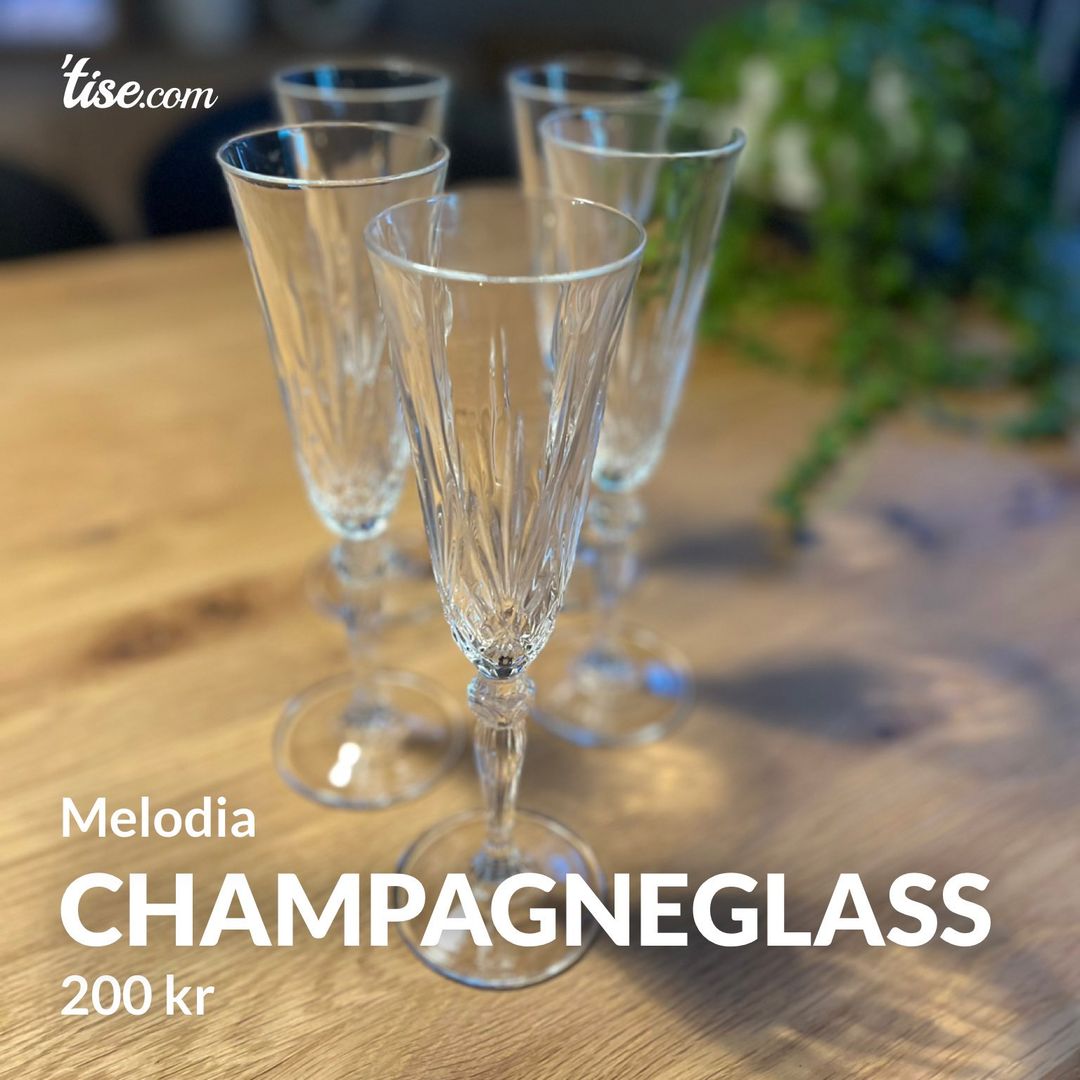 Champagneglass