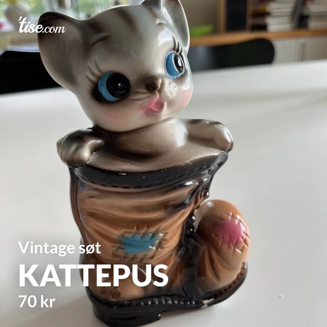 Kattepus