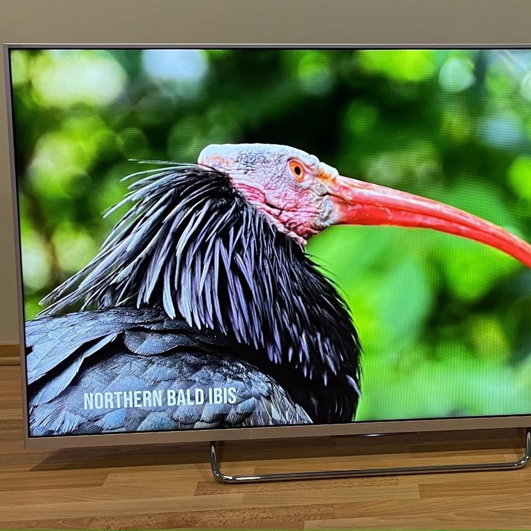 SONY 50" QHD T62