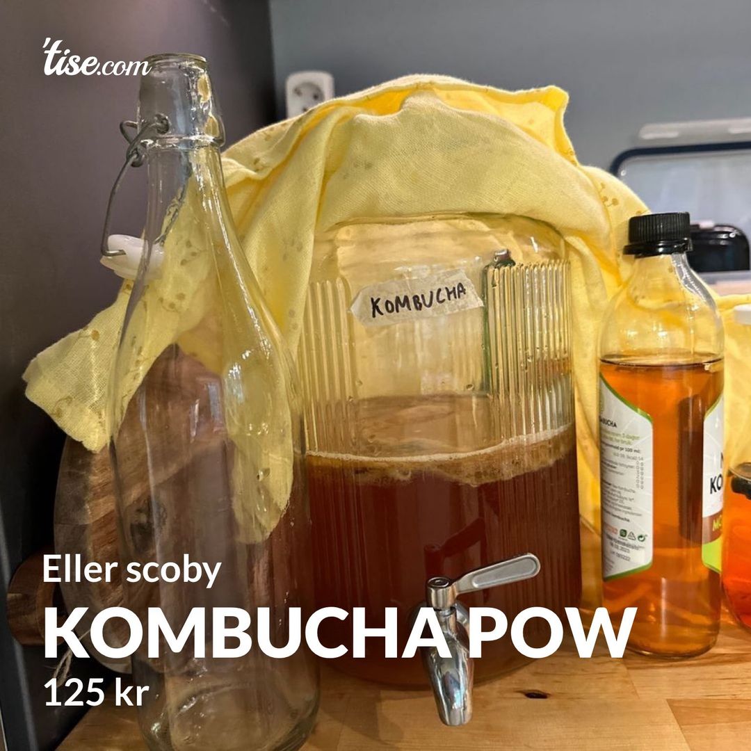 Kombucha Pow