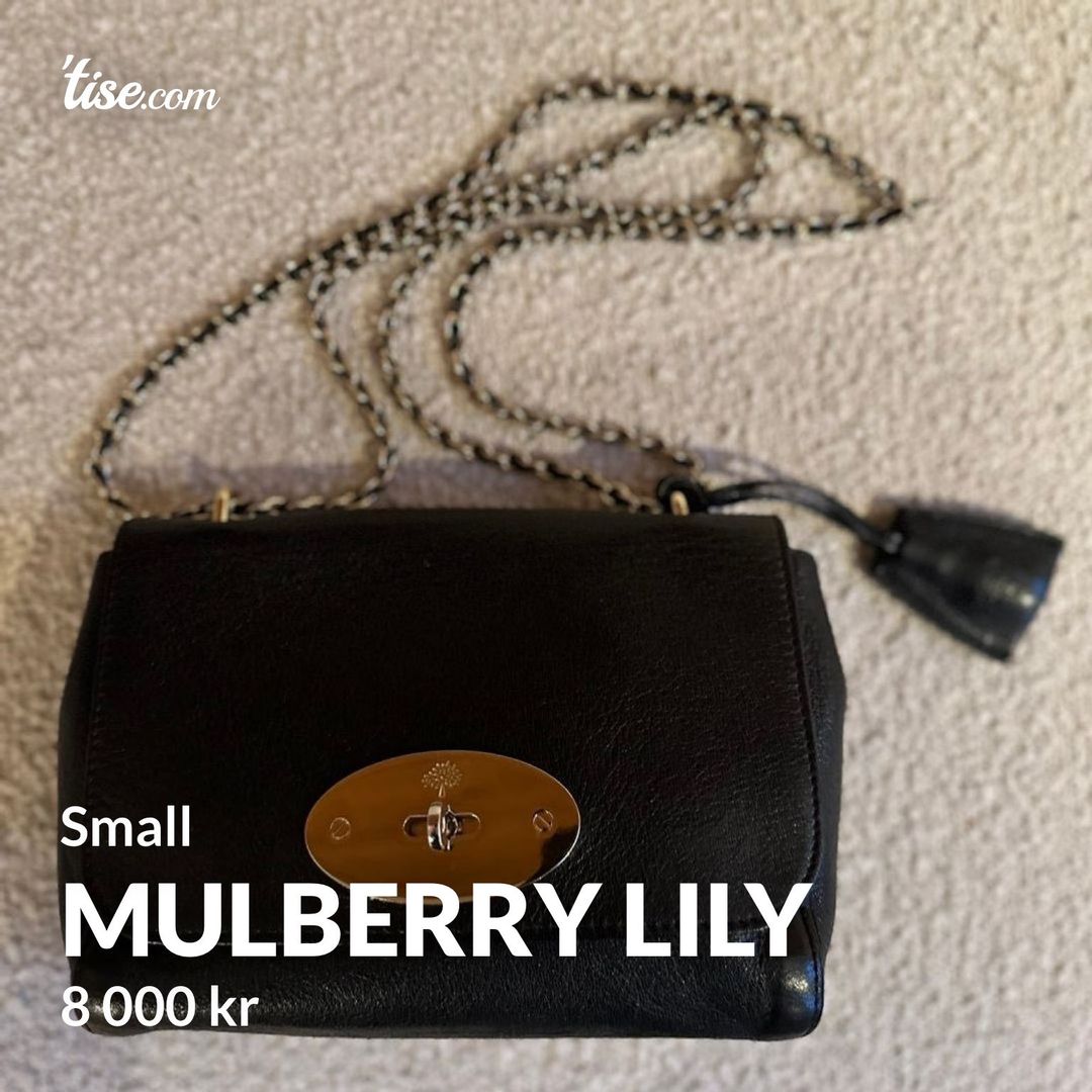 Mulberry Lily