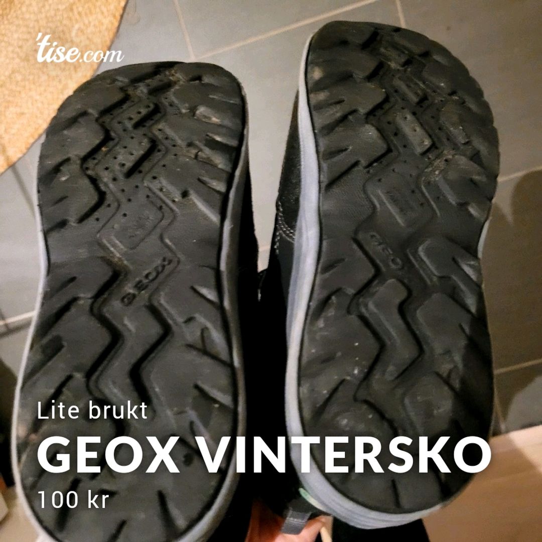 Geox Vintersko