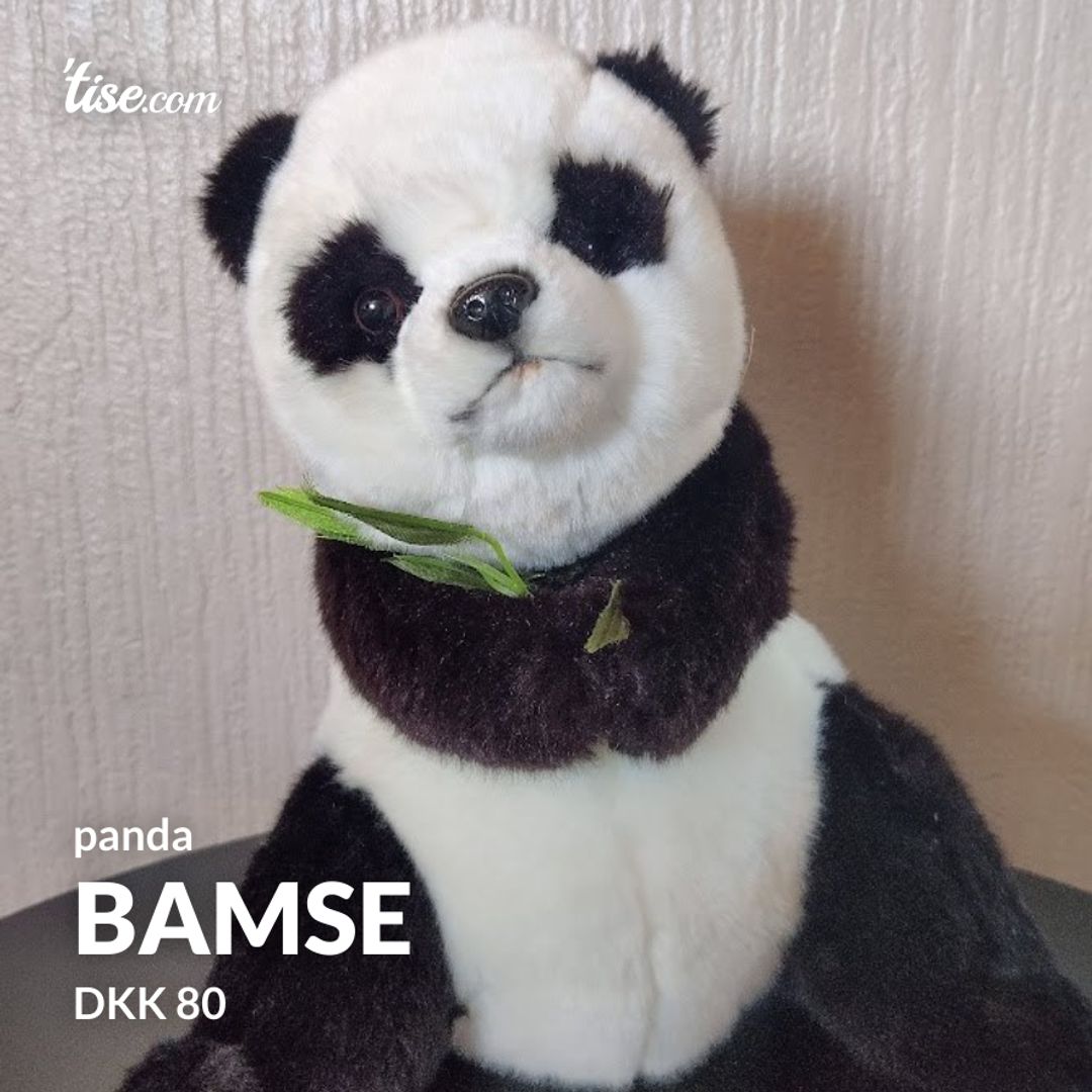 bamse