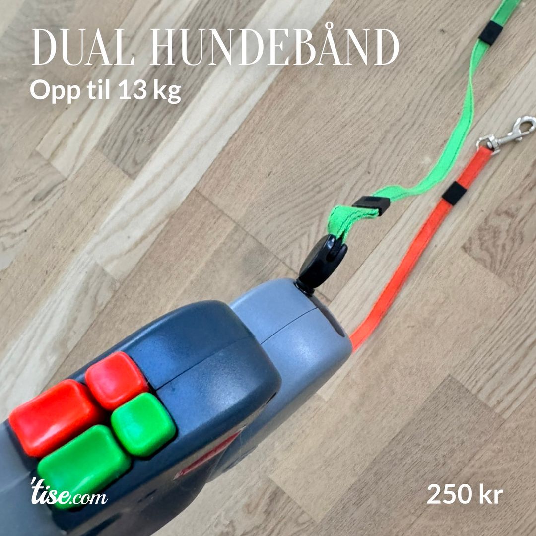 Dual hundebånd