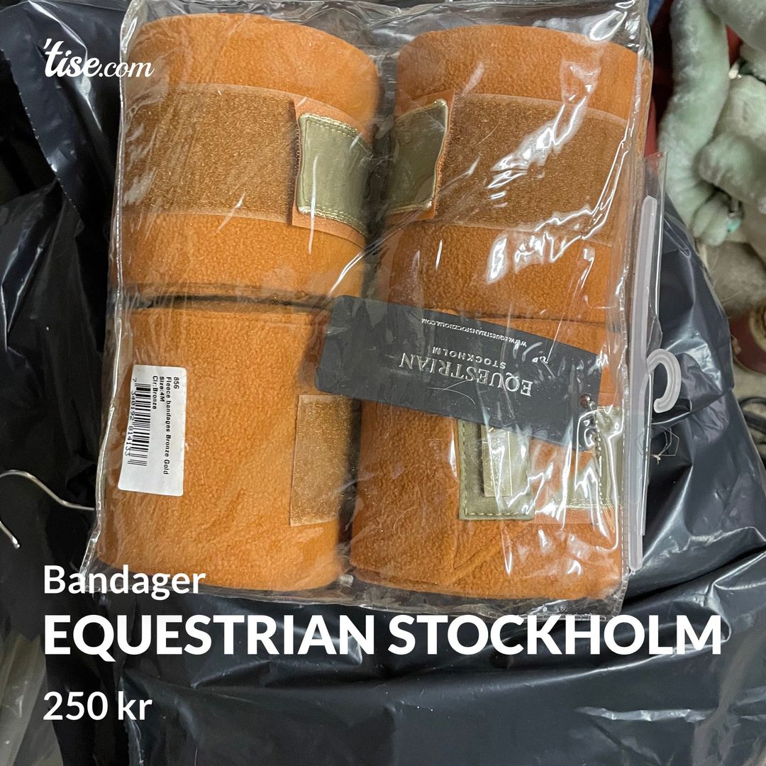 Equestrian stockholm