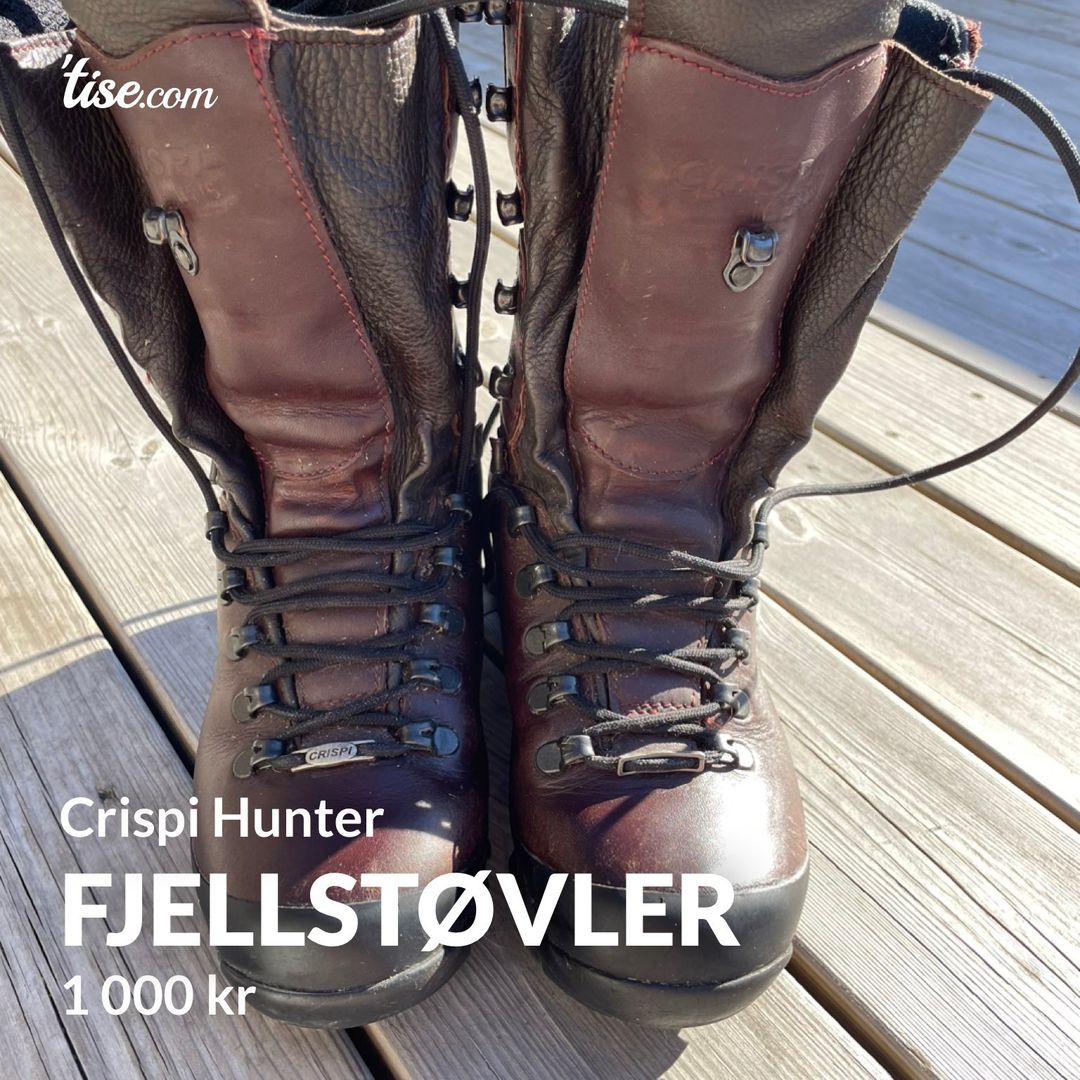 Fjellstøvler