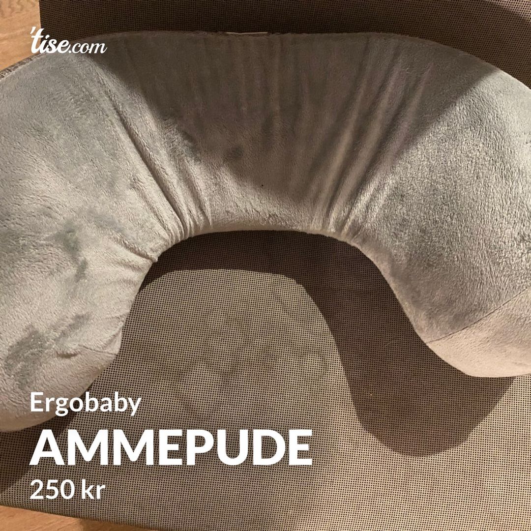 Ammepude