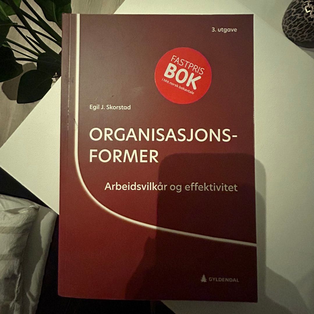 Organisasjonsformer