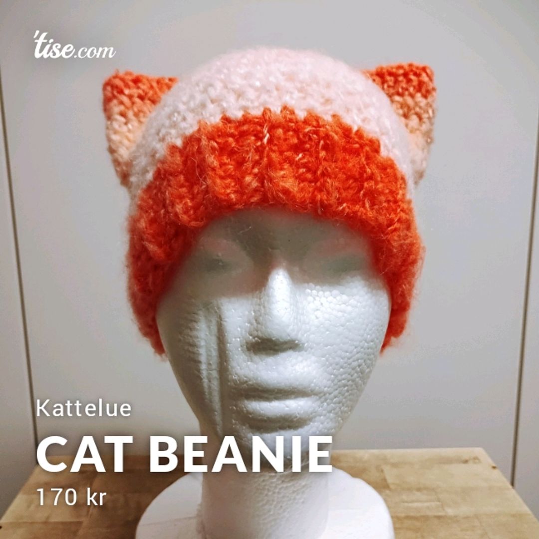 Cat Beanie