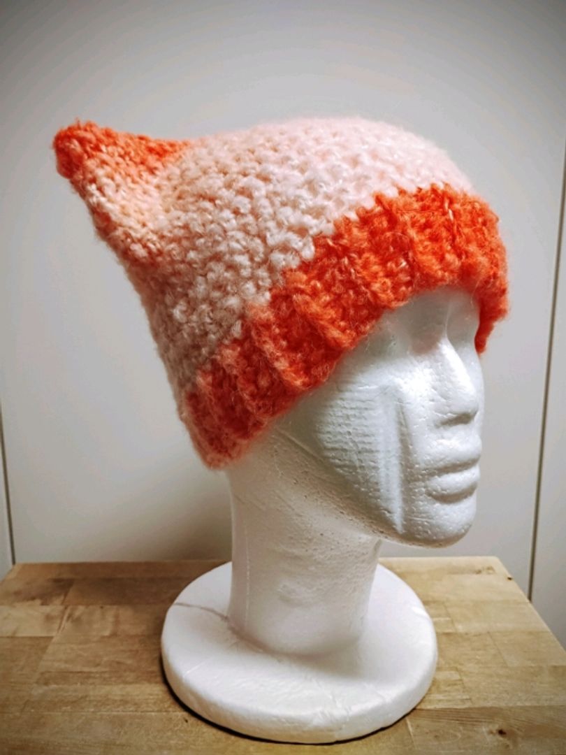 Cat Beanie