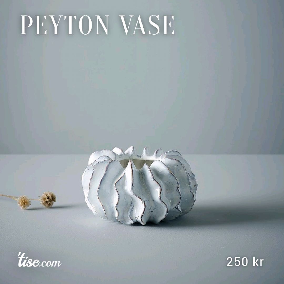 Peyton Vase