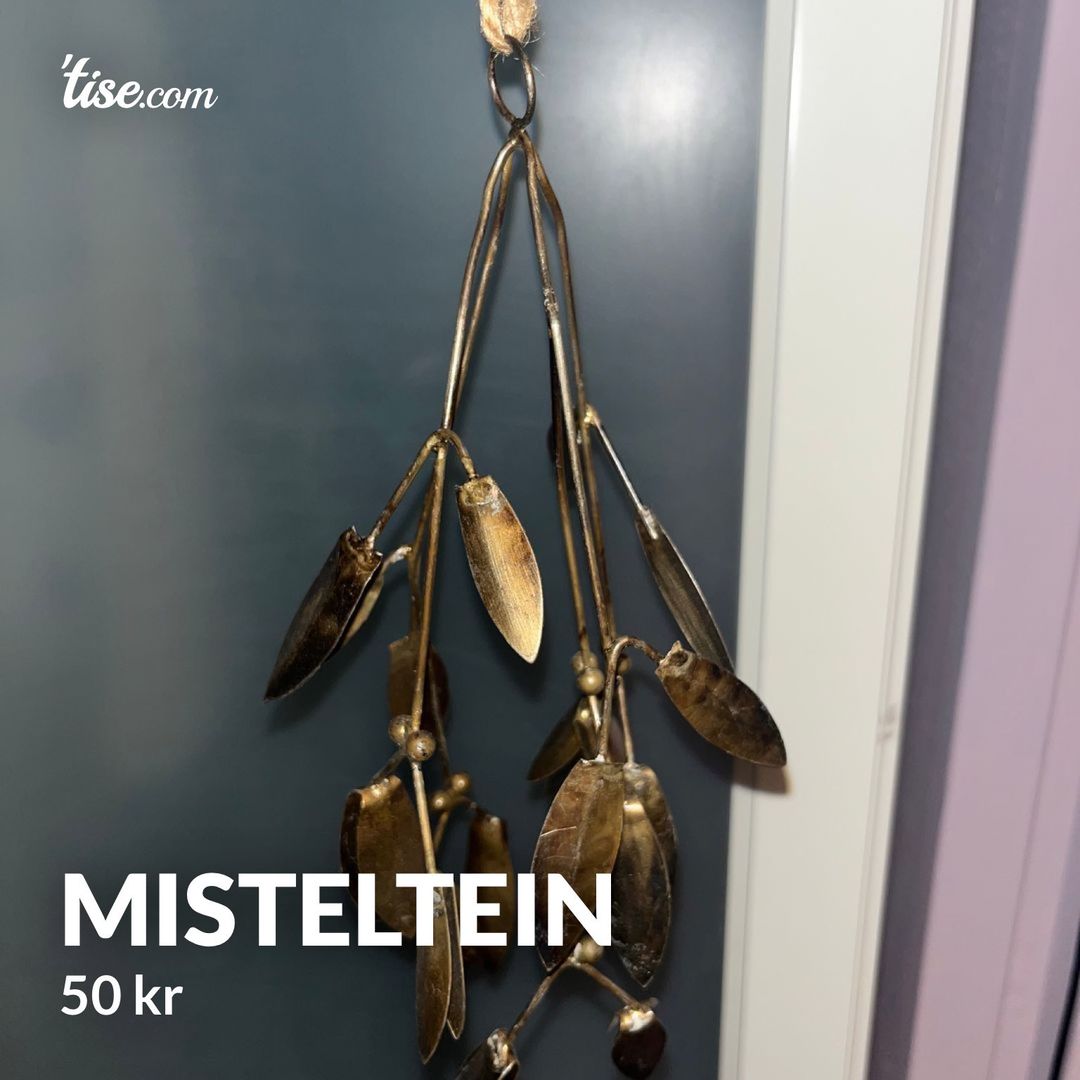 Misteltein