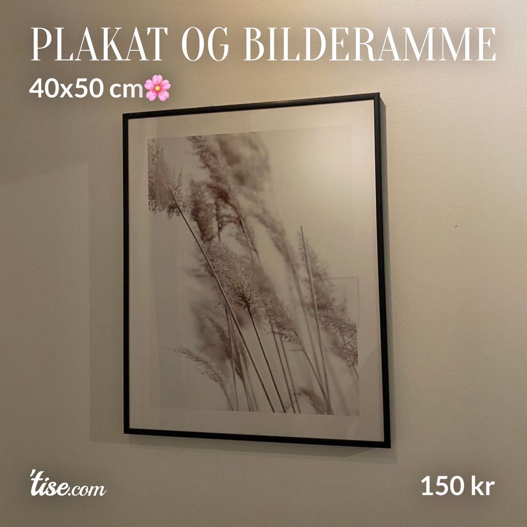 Plakat og bilderamme