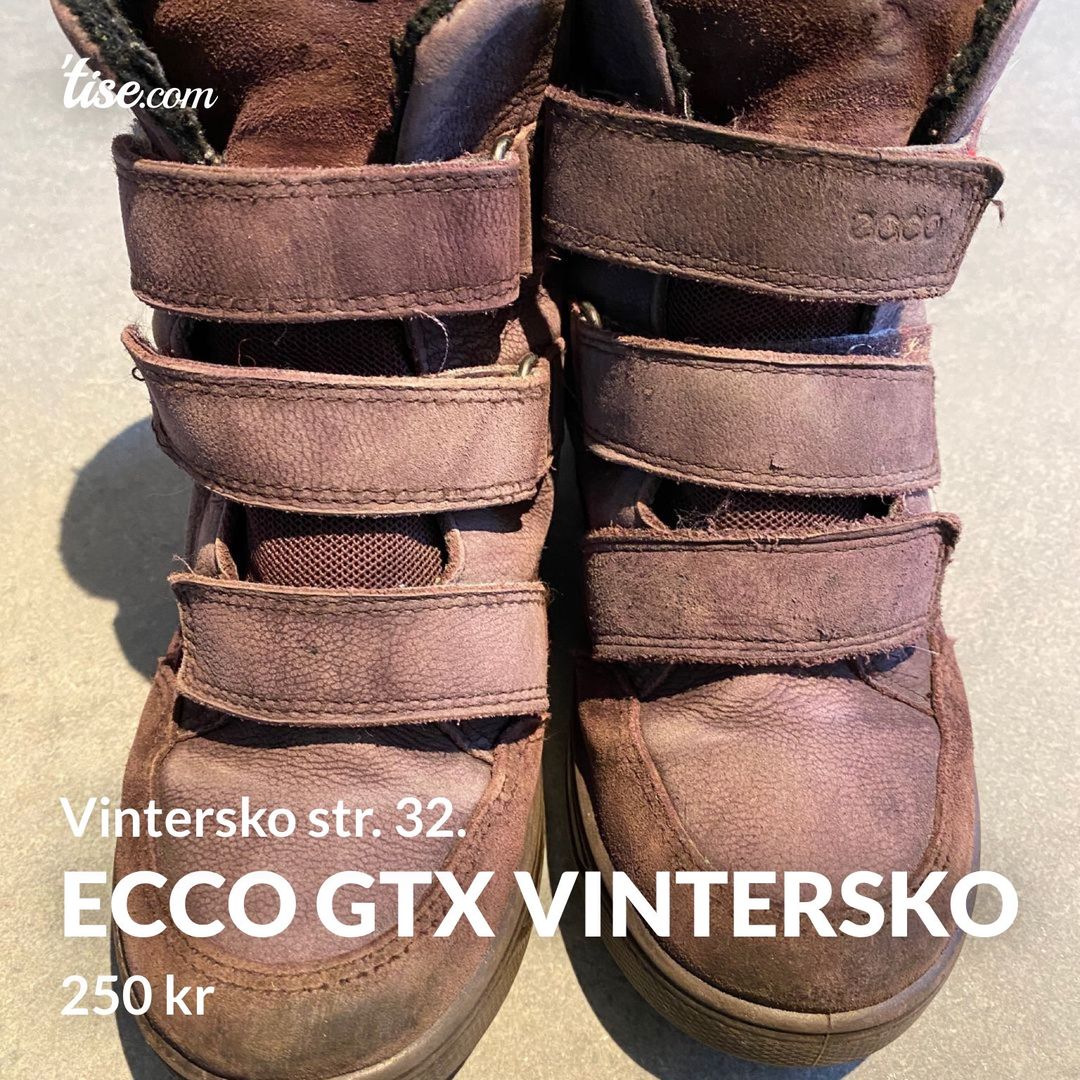 Ecco gtx vintersko