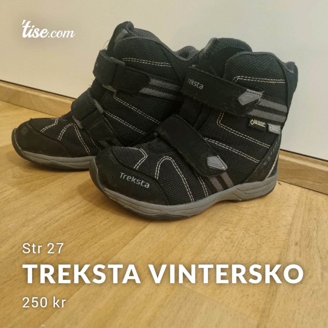 Treksta Vintersko