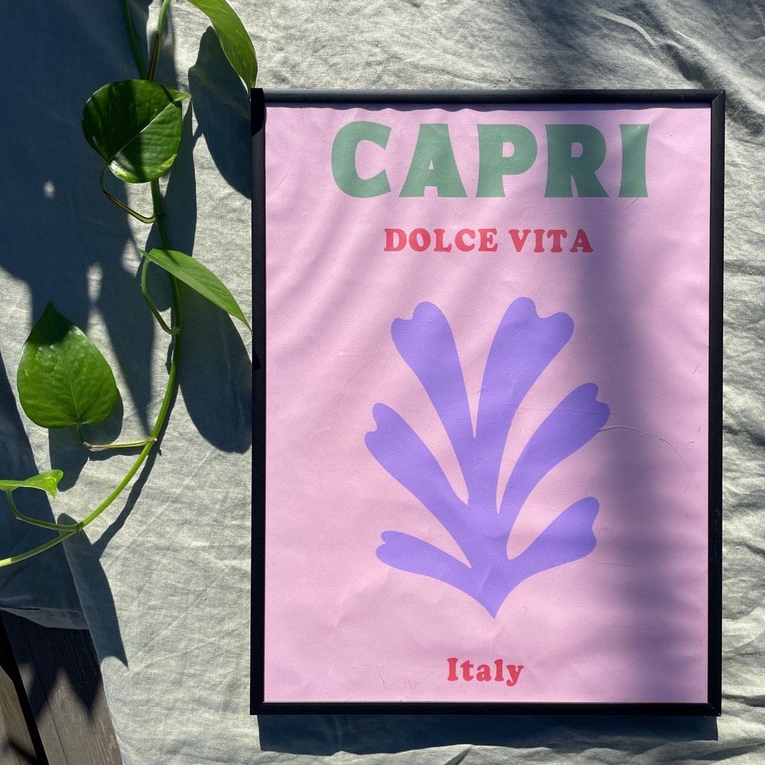 CAPRI print