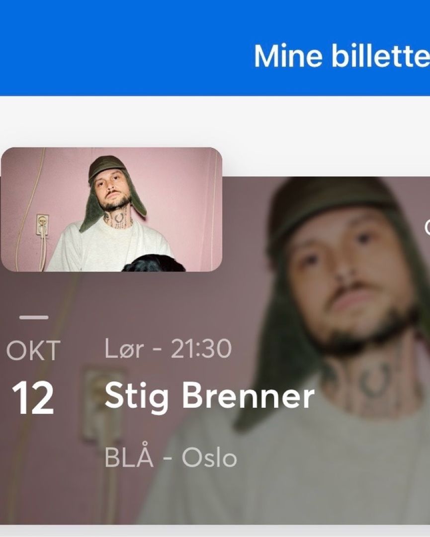 Stig brenner