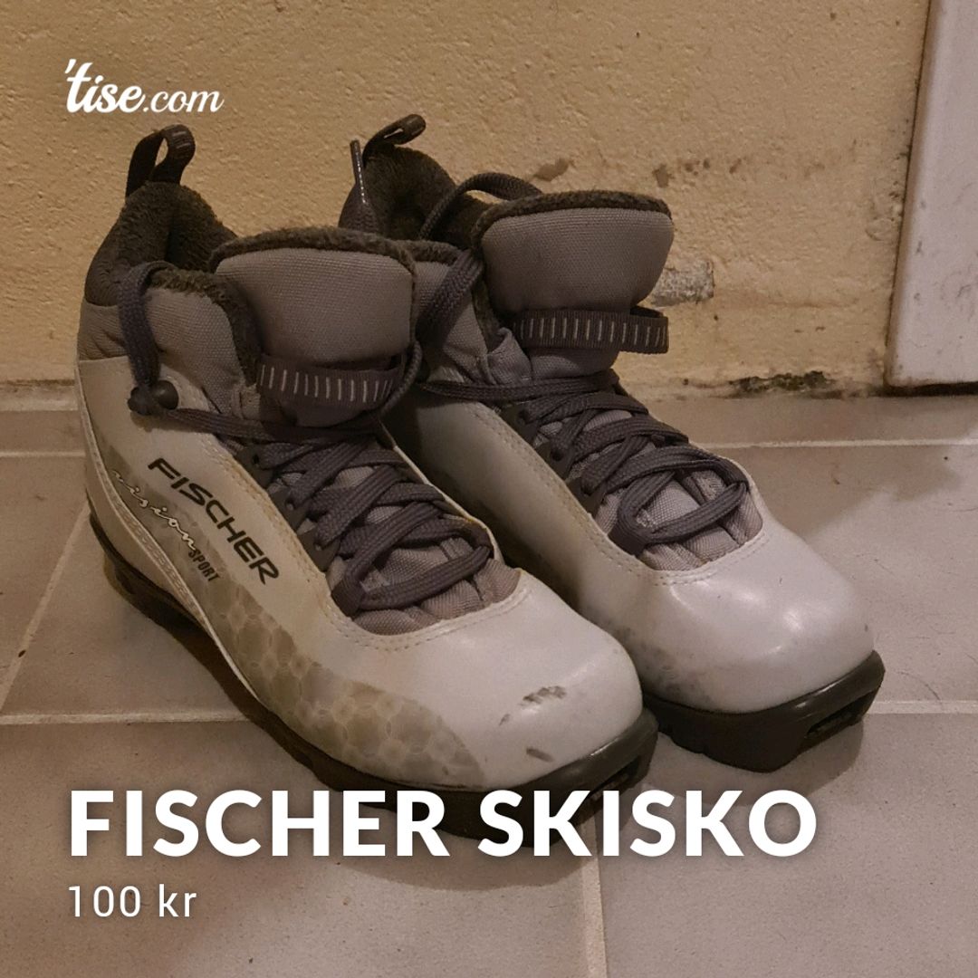 Fischer Skisko