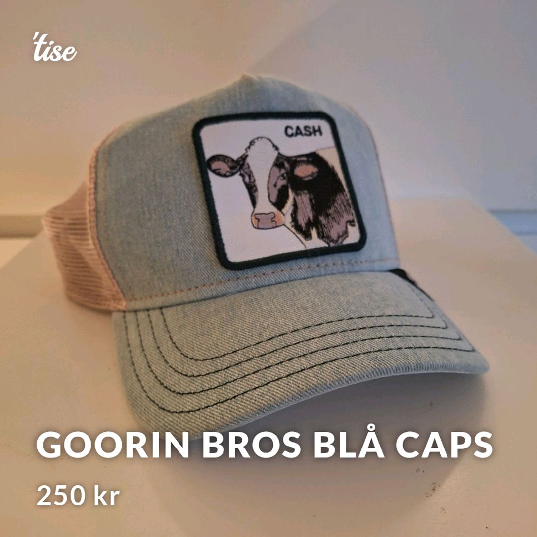 Goorin Bros Blå Caps