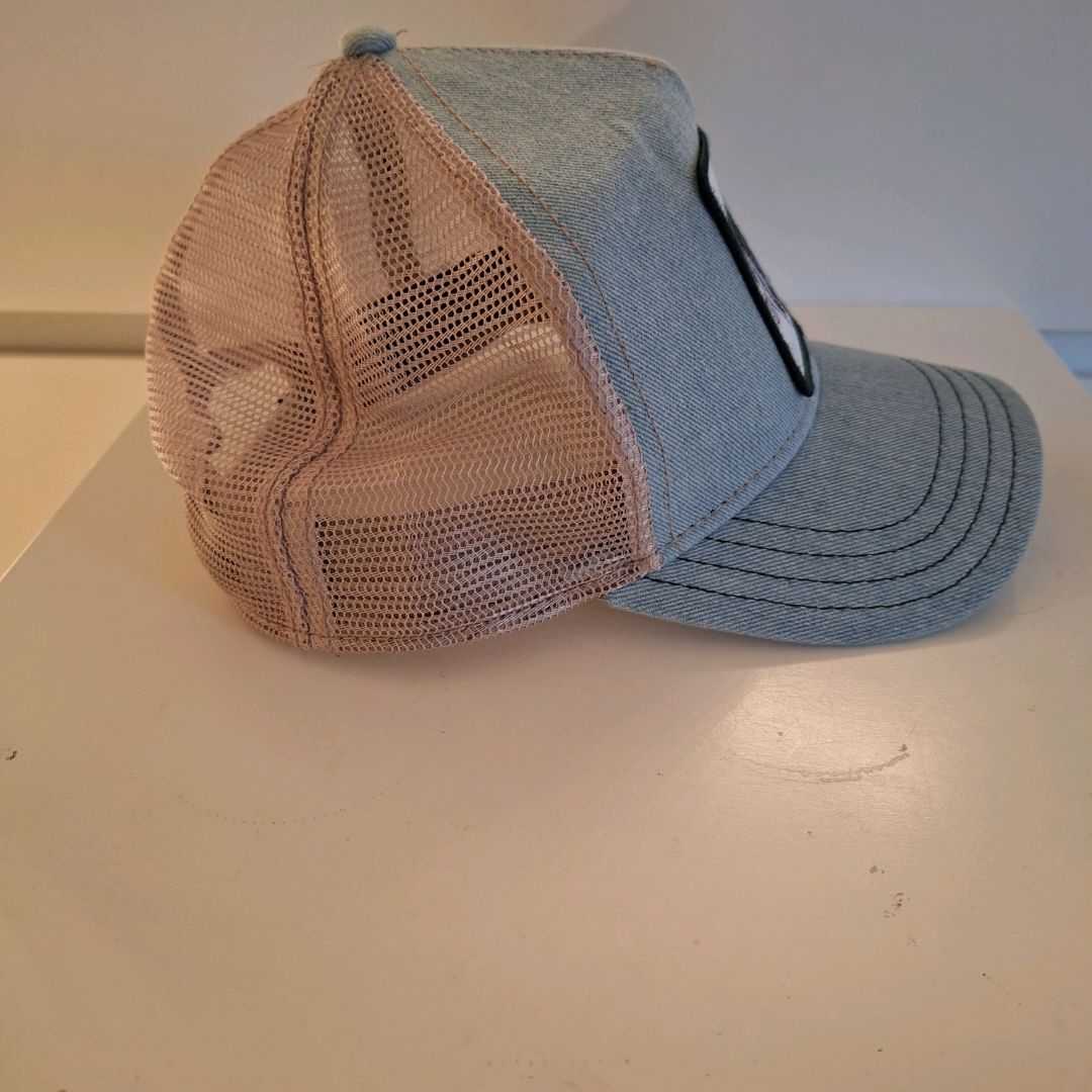 Goorin Bros Blå Caps