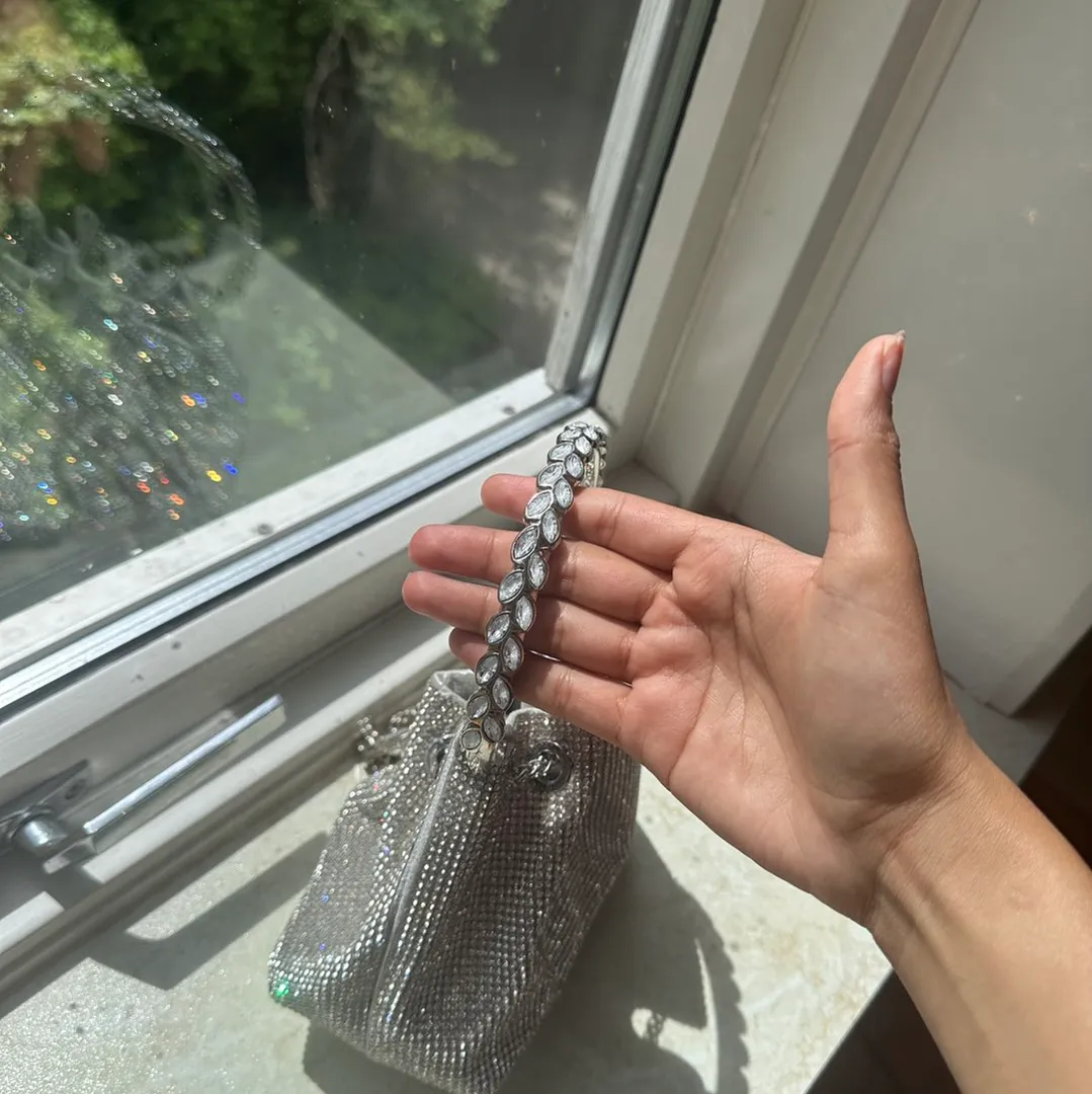 shimmer pouch