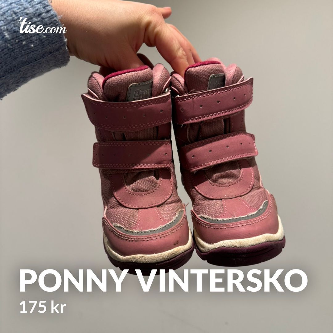 Ponny Vintersko