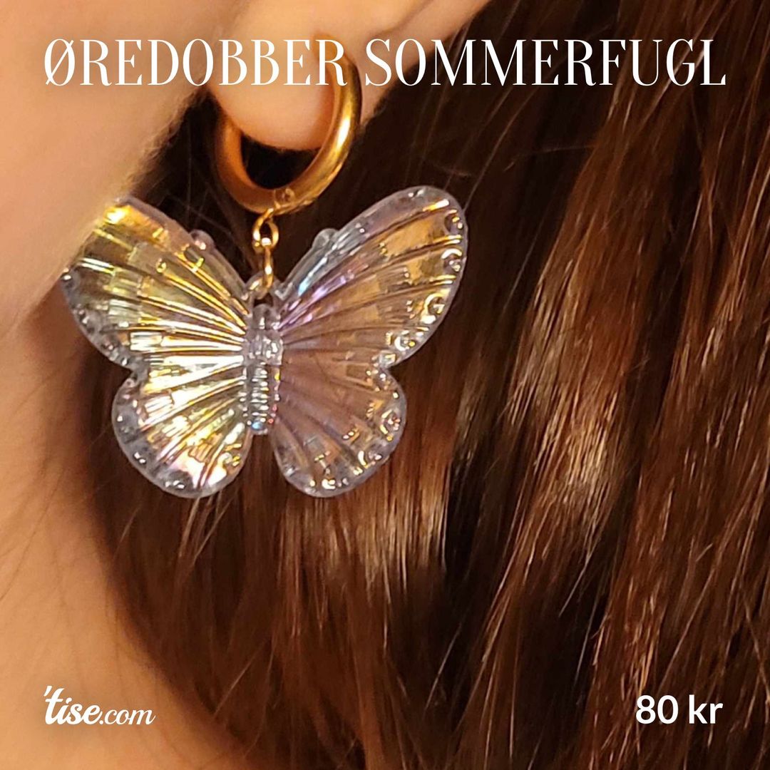 Øredobber sommerfugl