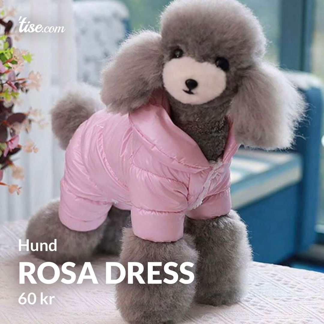 Rosa dress