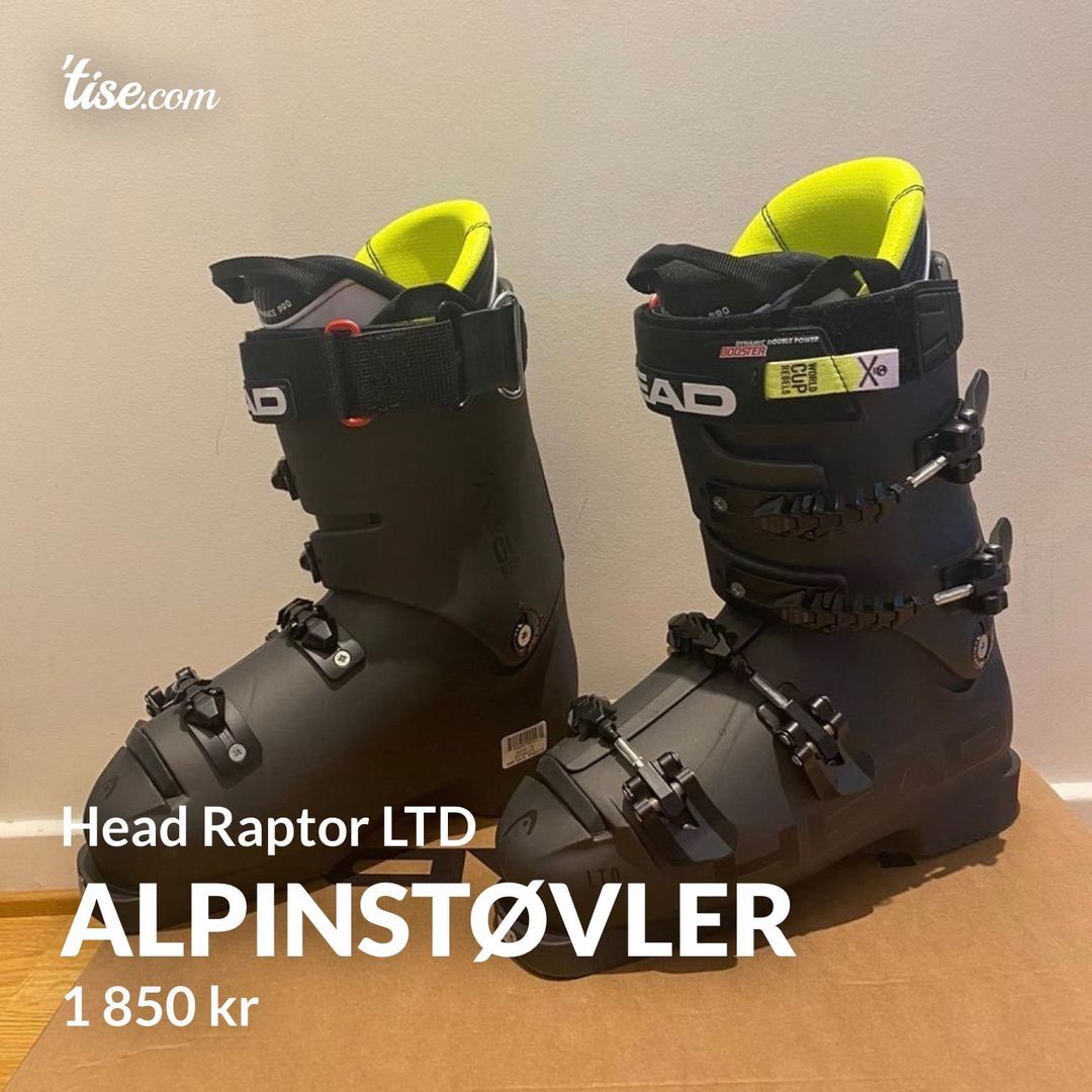 Alpinstøvler