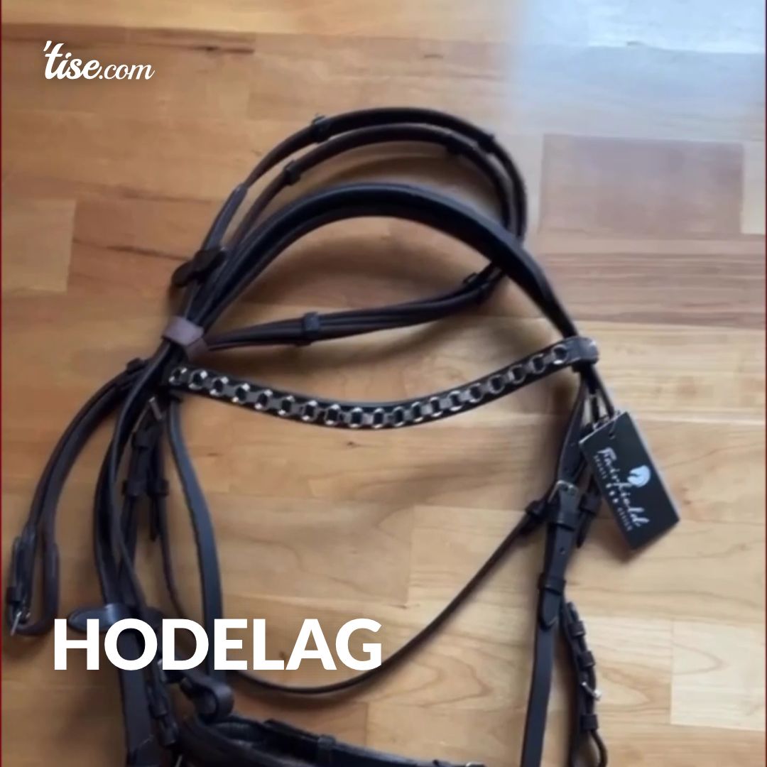 Hodelag