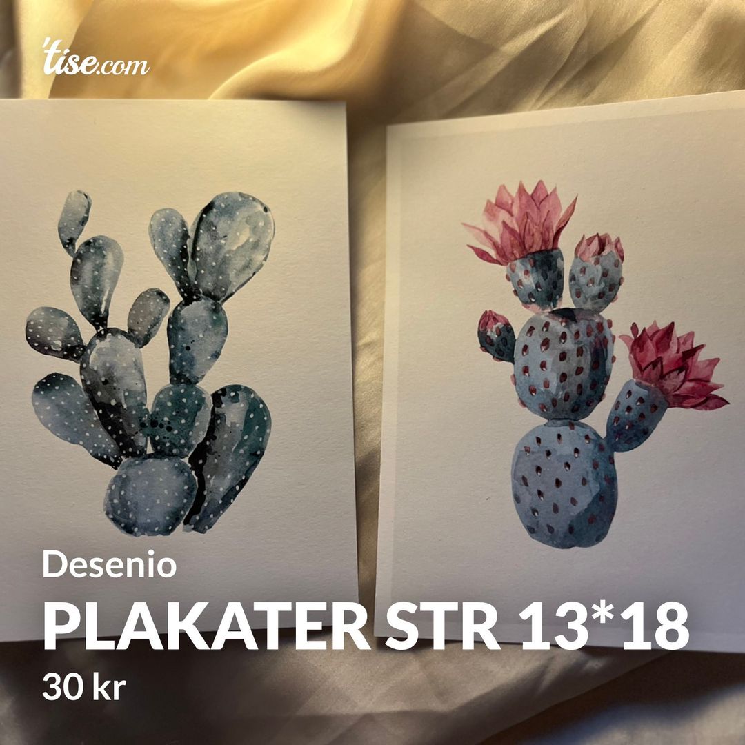 Plakater str 13*18