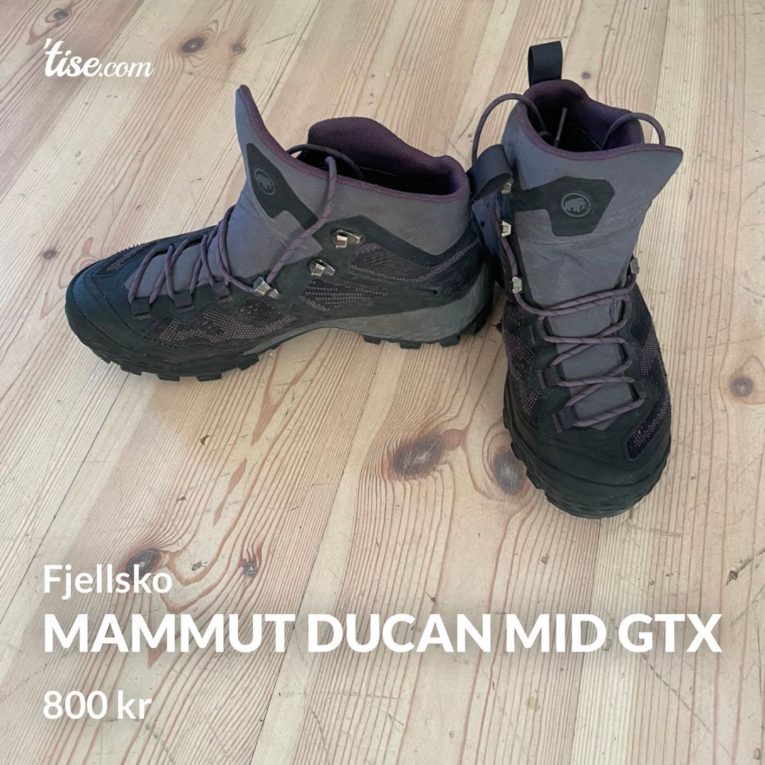 Mammut Ducan Mid GTX