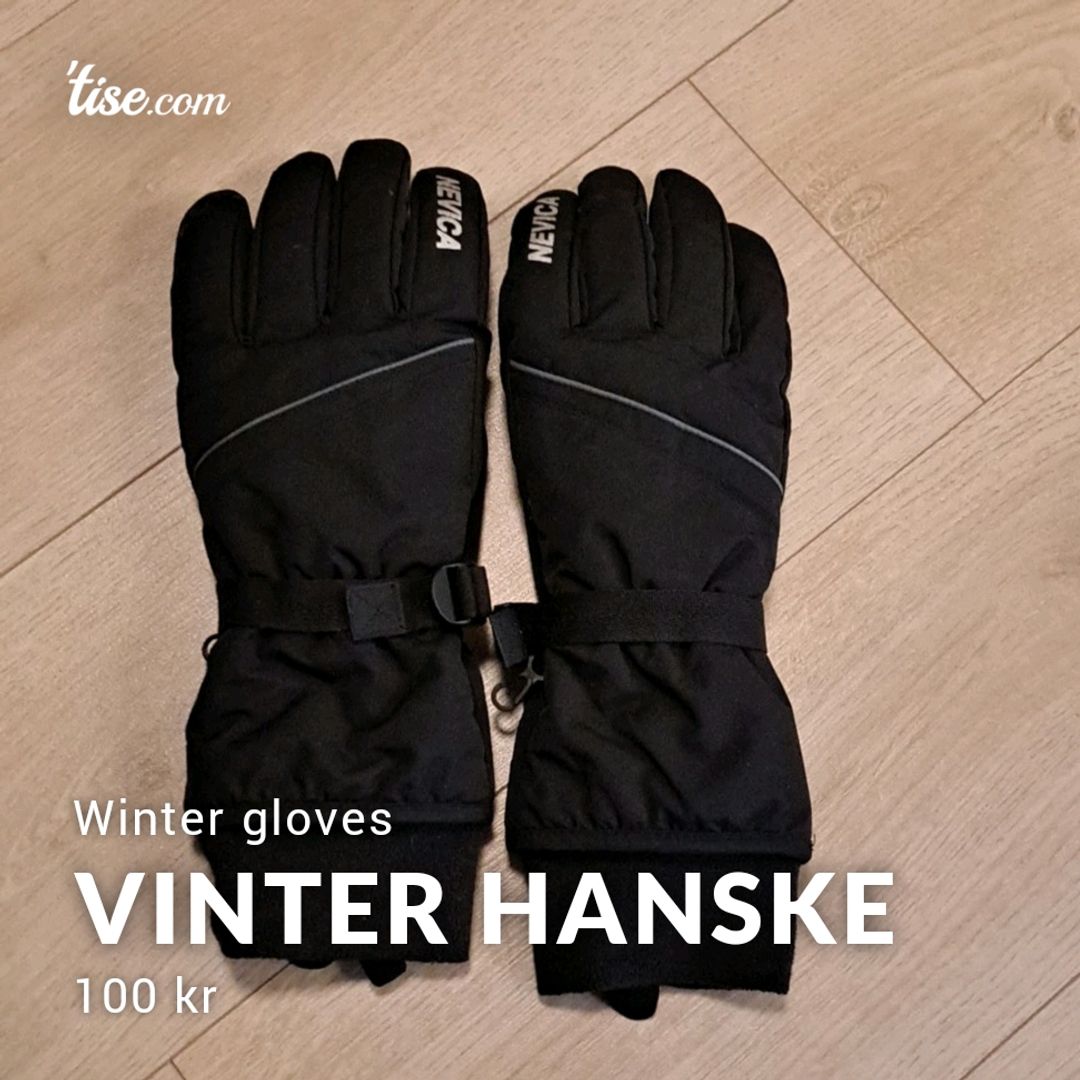 Vinter Hanske