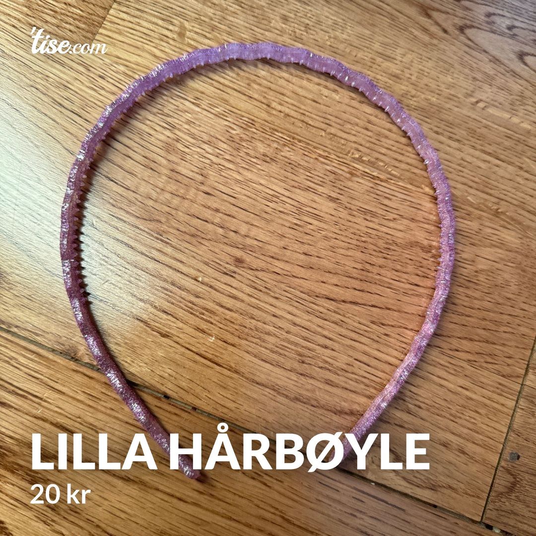 Lilla hårbøyle