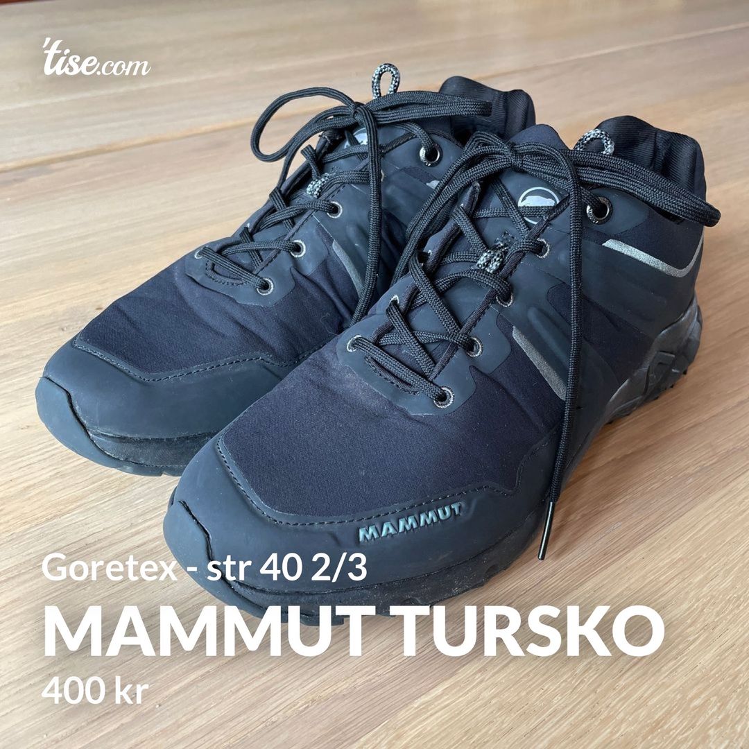 Mammut tursko