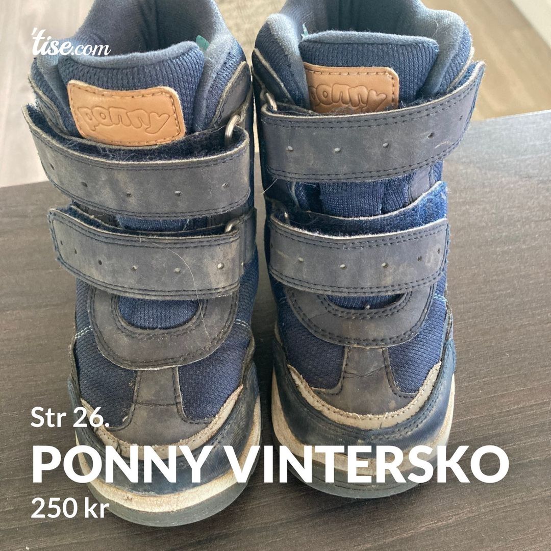 Ponny vintersko