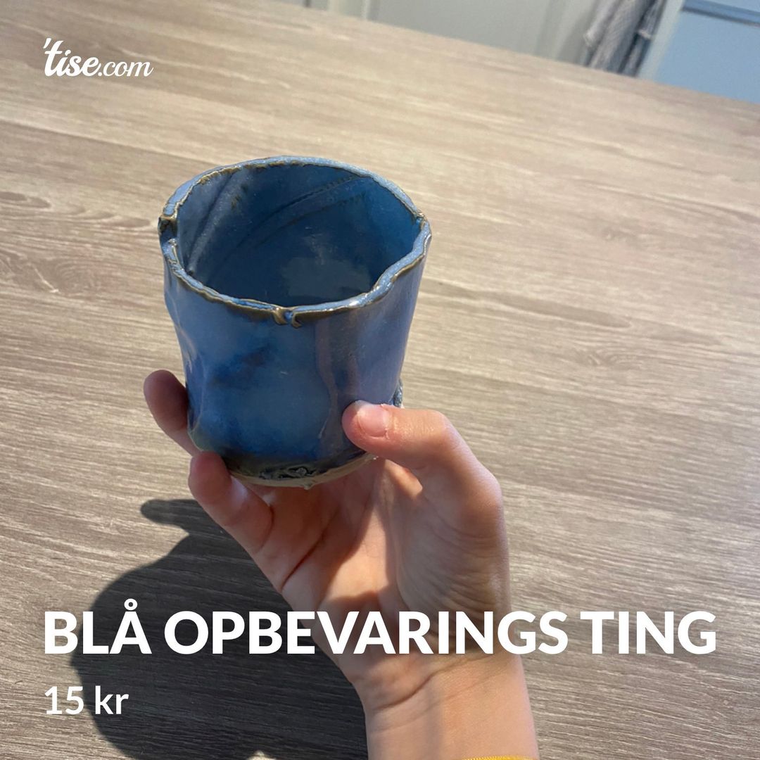 Blå opbevarings ting