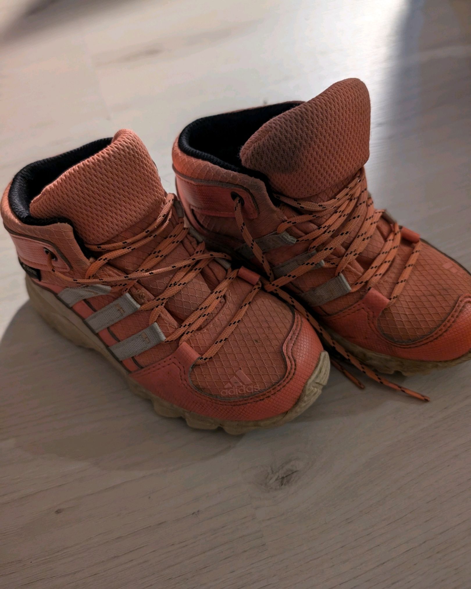 Sko Adidas Terrex