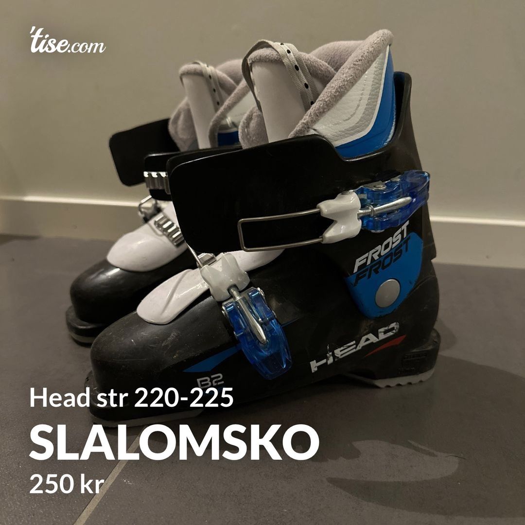 Slalomsko