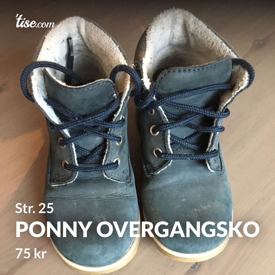 Ponny overgangsko