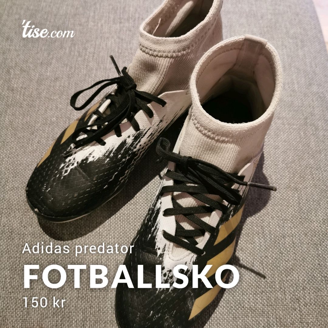 Fotballsko