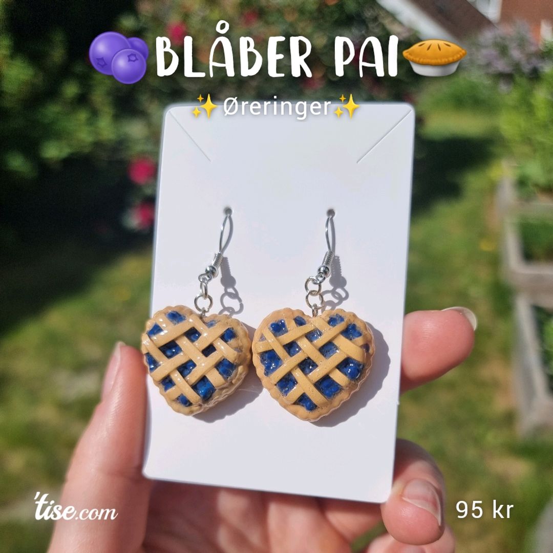 🫐Blåber Pai🥧