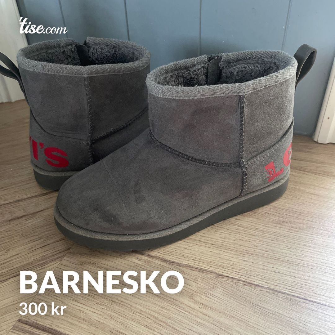 Barnesko