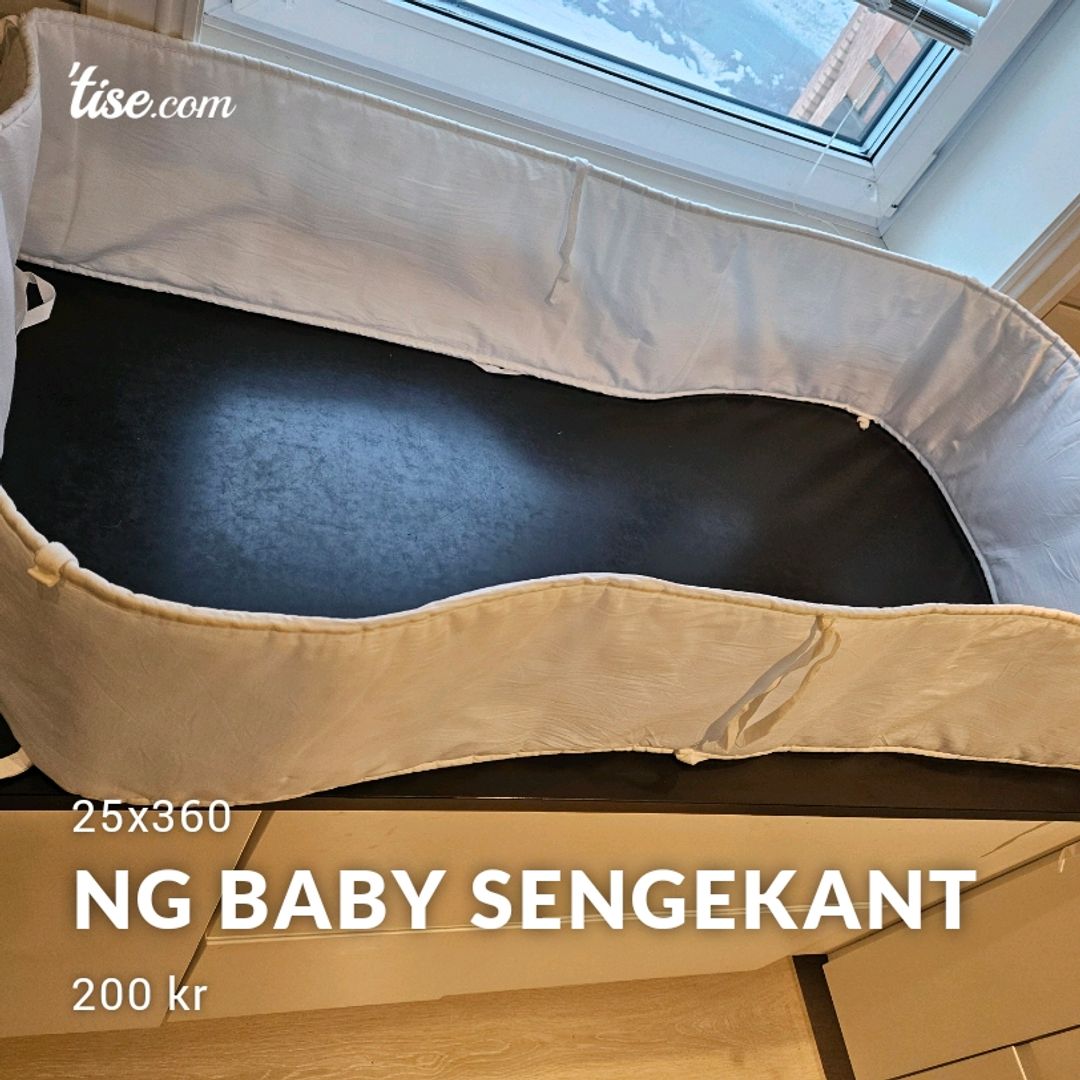 NG Baby Sengekant